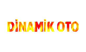 Özlem Ulubeyi Sticker