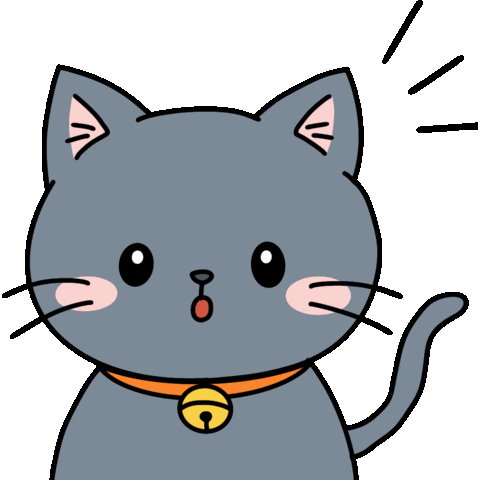 Cat Wow Sticker