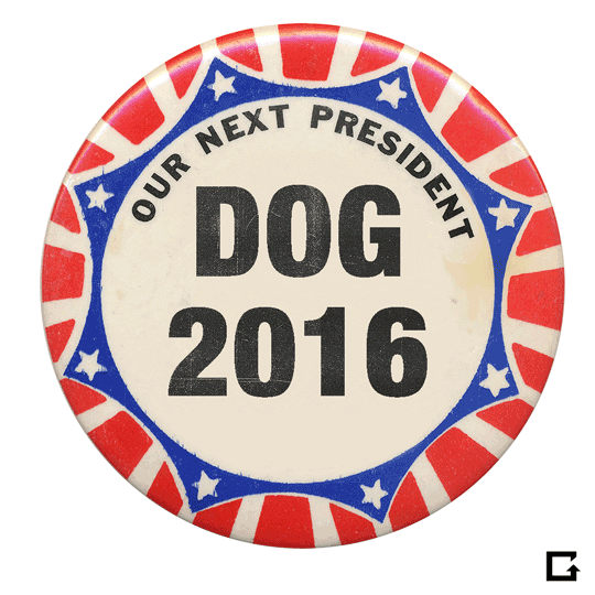 2016 presidential race