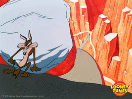 Wile E Coyote GIFs - Find & Share on GIPHY