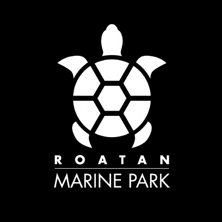 Rmp GIF by Roatan Marine Park