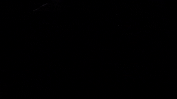 iXexotics GIF