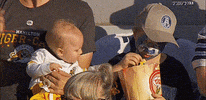 Canadian Tigers GIF by Hamilton Tiger-Cats