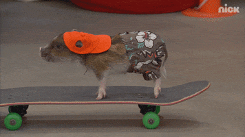 skateboarding nick GIF by Nickelodeon