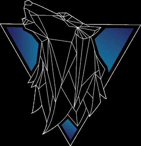 Alpha Israel GIF by Bizzy