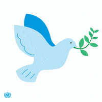 Peace Dove GIF by United Nations