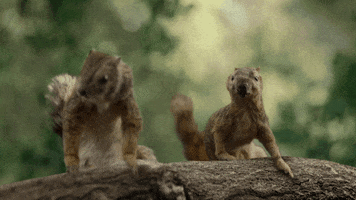 Keep America Beautiful GIF