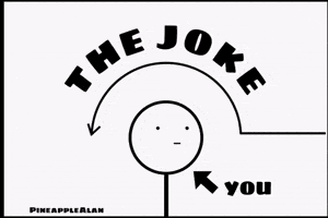 Joke Idiot GIF