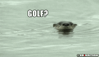 200.gif?cid=fc005b08fe391d7c5bdcadc559ac9370ac2de77593849ad0&rid=200.gif&ct=g
