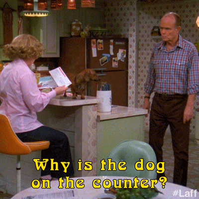 That 70s show dog gif by laff - find & share on giphy