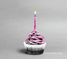 happy birthday party GIF by Bilbareed