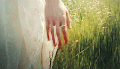 Sofia Coppola Grass GIF - Find & Share on GIPHY