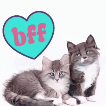 I Love You Friends GIF by The3Flamingos