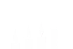 Warnermusicnorway Sticker by Absolute Christmas