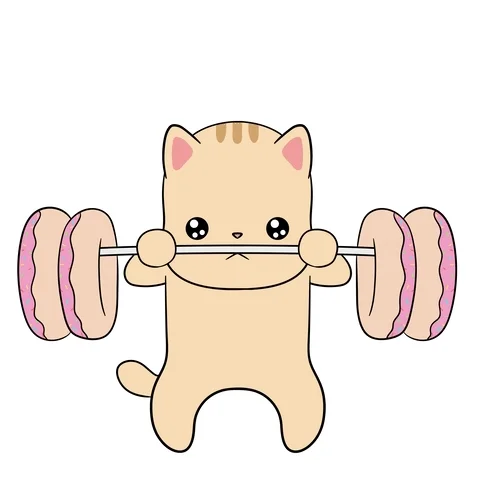 Cat Working Out GIF