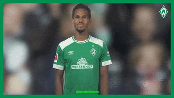 gebre selassie goal GIF by SV Werder Bremen
