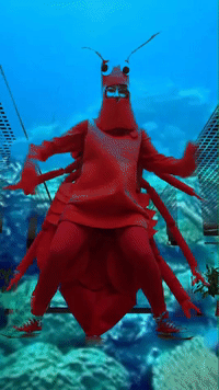Lobster GIFs - Get the best GIF on GIPHY