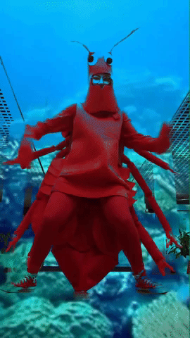 Lobster Becky Dole GIF - Find & Share on GIPHY