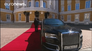Russia Putin GIF by euronews