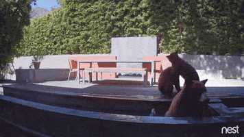 bored oh man GIF by Nest