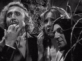 Mel Brooks GIF