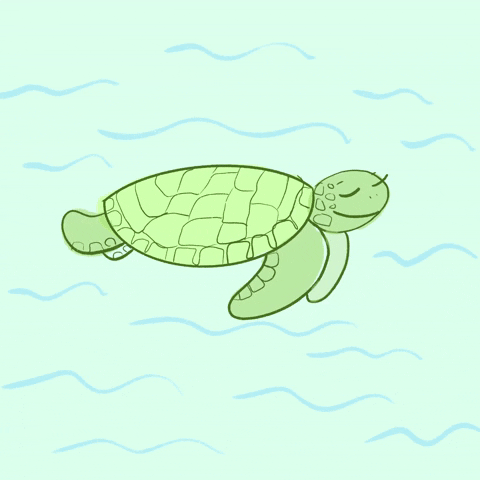 Sea Turtle Swimming GIF by cynomys