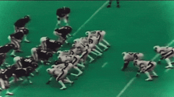 War Eagle Iron Bowl GIF