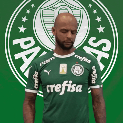 the best soccer GIF by SE Palmeiras