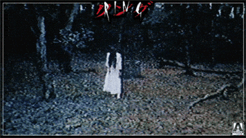 The Ring Movie GIF by Arrow Video