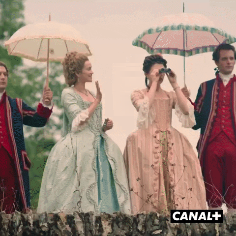 Canal Plus Wave GIF by CANAL+