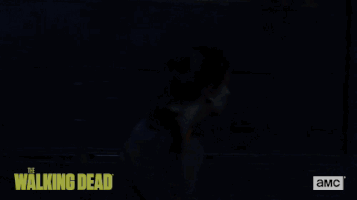 twd GIF by The Walking Dead
