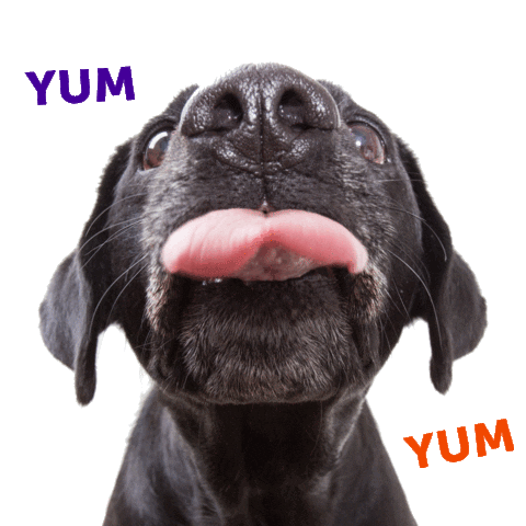 Dog Food Wink Sticker
