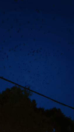 Sky GIF