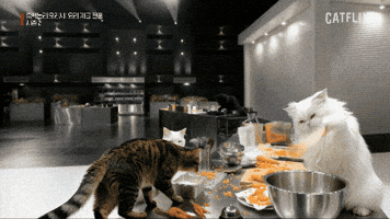 흑백논리요리사 GIF