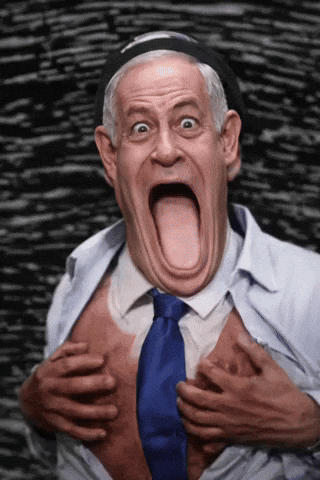 Israel Jew GIF