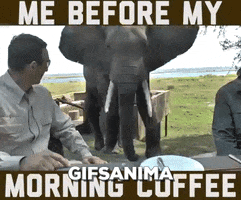 gifsanima gifsanima GIF