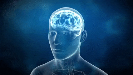 Thinking Brain GIF توسط MOODMAN - یافتن و اشتراک گذاری در GIPHY