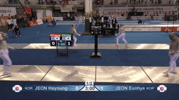 GIF by Fencing Database