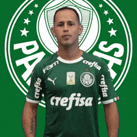 hoje tem alejandro guerra GIF by SE Palmeiras