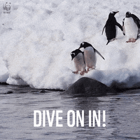 penguin swimming GIF by WWF_UK