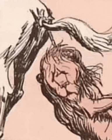 Persian Gulf Iran GIF