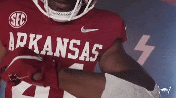 College Football GIF by Arkansas Razorbacks