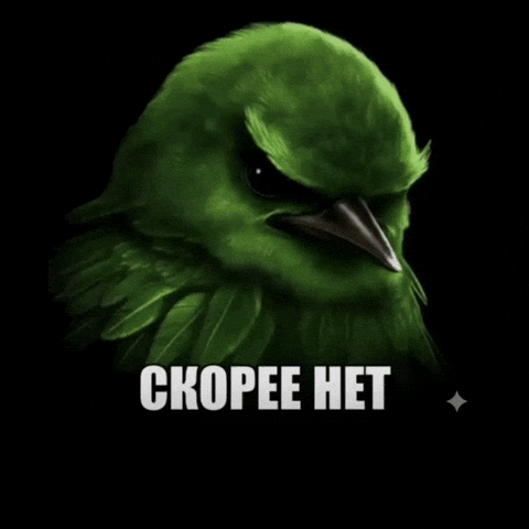 Птица Нет GIF