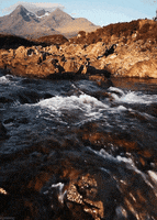 river stream GIF