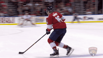 Ice Hockey Goal GIF by Florida Panthers