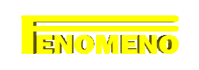 Fenomeno Sticker by Prane Paris