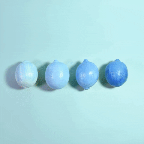 Lemon Blueberry GIF by Evan Hilton - Find & Share on GIPHY