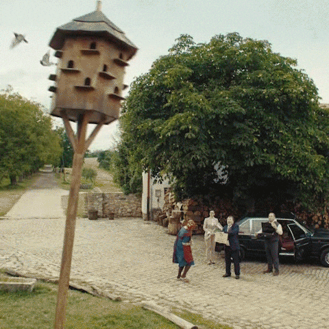 Chaos Pozor GIF by Fio banka