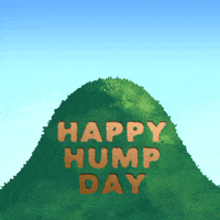 Alternative Energy Wednesday GIF by INTO ACTION