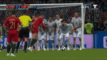 World Cup Soccer GIF